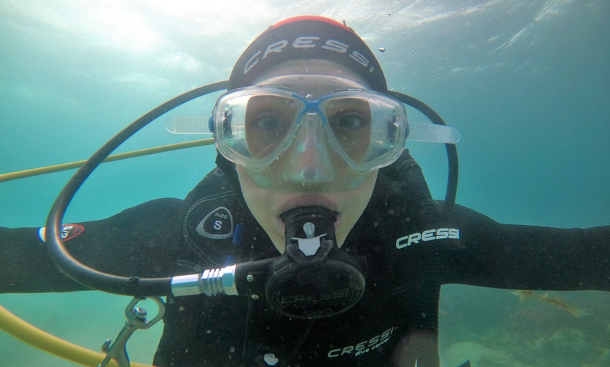 Image 9: Emoción bajo el agua: bautismo de buceo, diploma y descuento en cursos