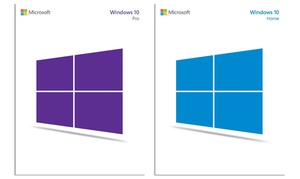 Microsoft Windows 10 Home or Pro Edition