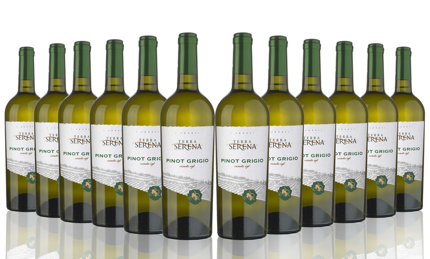 Image 1: 12 Bottles of Pinot Grigio Wine