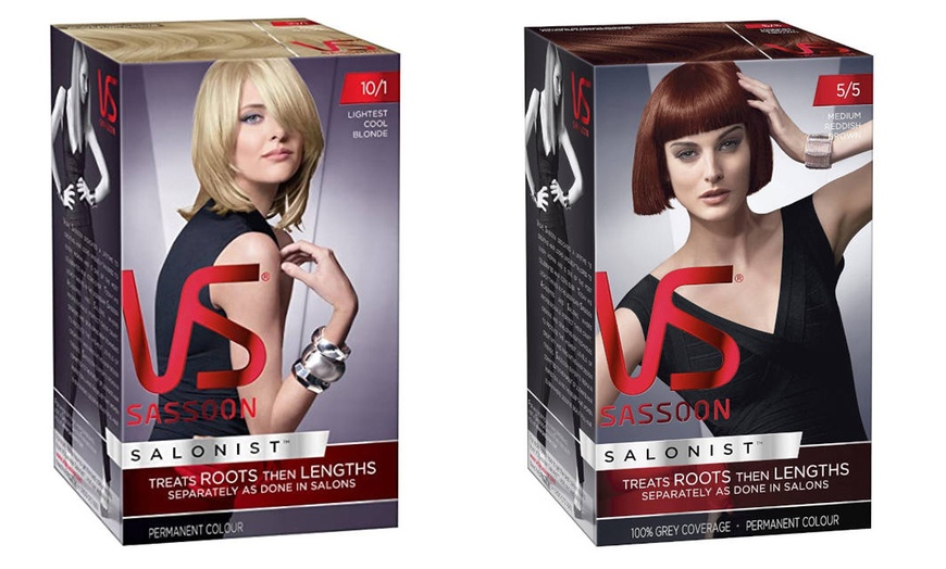 2. Vidal Sassoon Salonist Hair Colour Permanent Color Kit, 5/1 Medium Cool Brown - wide 9