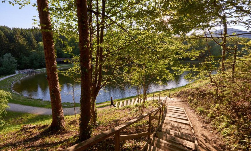 Image 14: Soggiorno in Slovenia 4*: mezza pensione con piscine all'Hotel Atrij