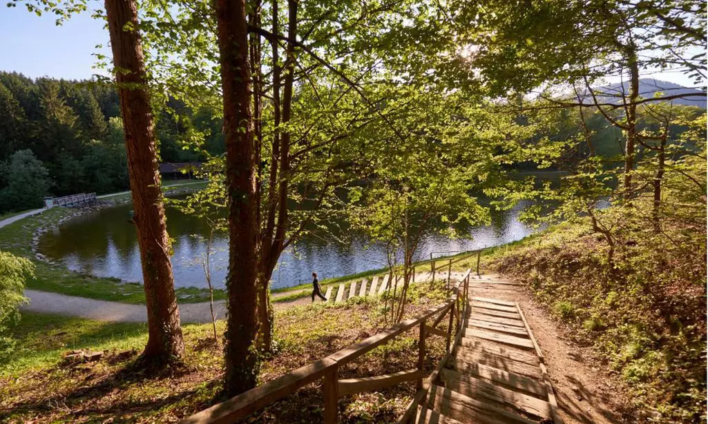 Soggiorno in Slovenia 4*: mezza pensione con piscine all'Hotel Atrij