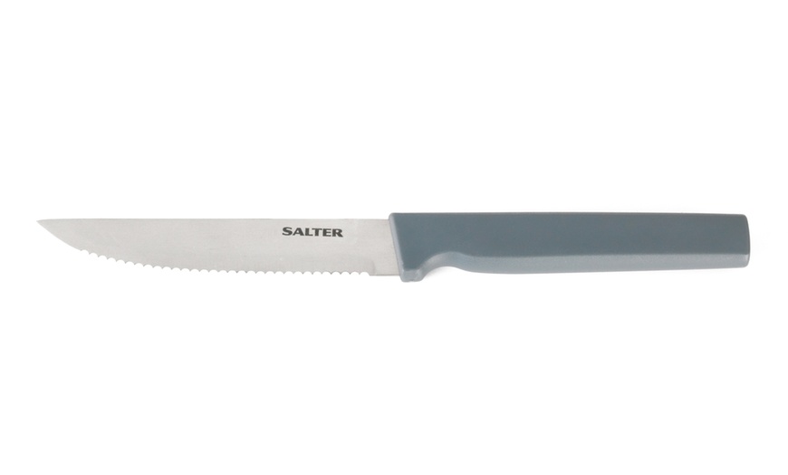 Image 13: 14-Piece Salter Knife Set