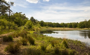 Natuur nabij Eindhoven: executive tweepersoonskamer in 4* hotel