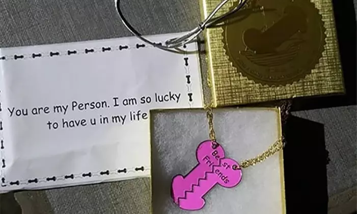 Anonymously Sent Gifts from Adult-Themed Gifts (Up to 48% Off). Two Options Available.  - Primary Image