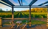 Winery Tour and Tasting for Four or Eight People at By Chadsey's Cairns Winery and Vineyard (Up to 60% Off)