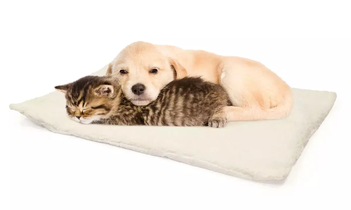 Tapis thermique déhoussable et lavable pour chien ou chat - Primary Image