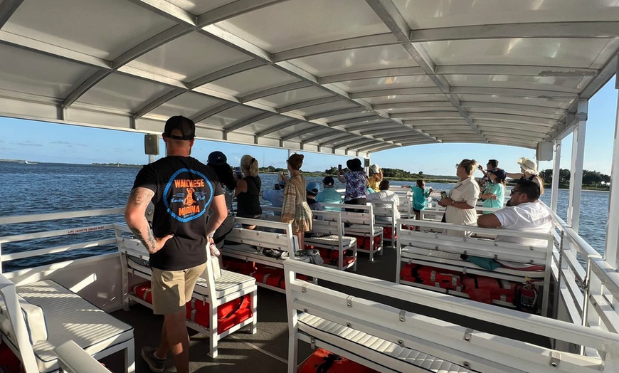 Image 2: 2 Hour Dolphin Daytime Tour 