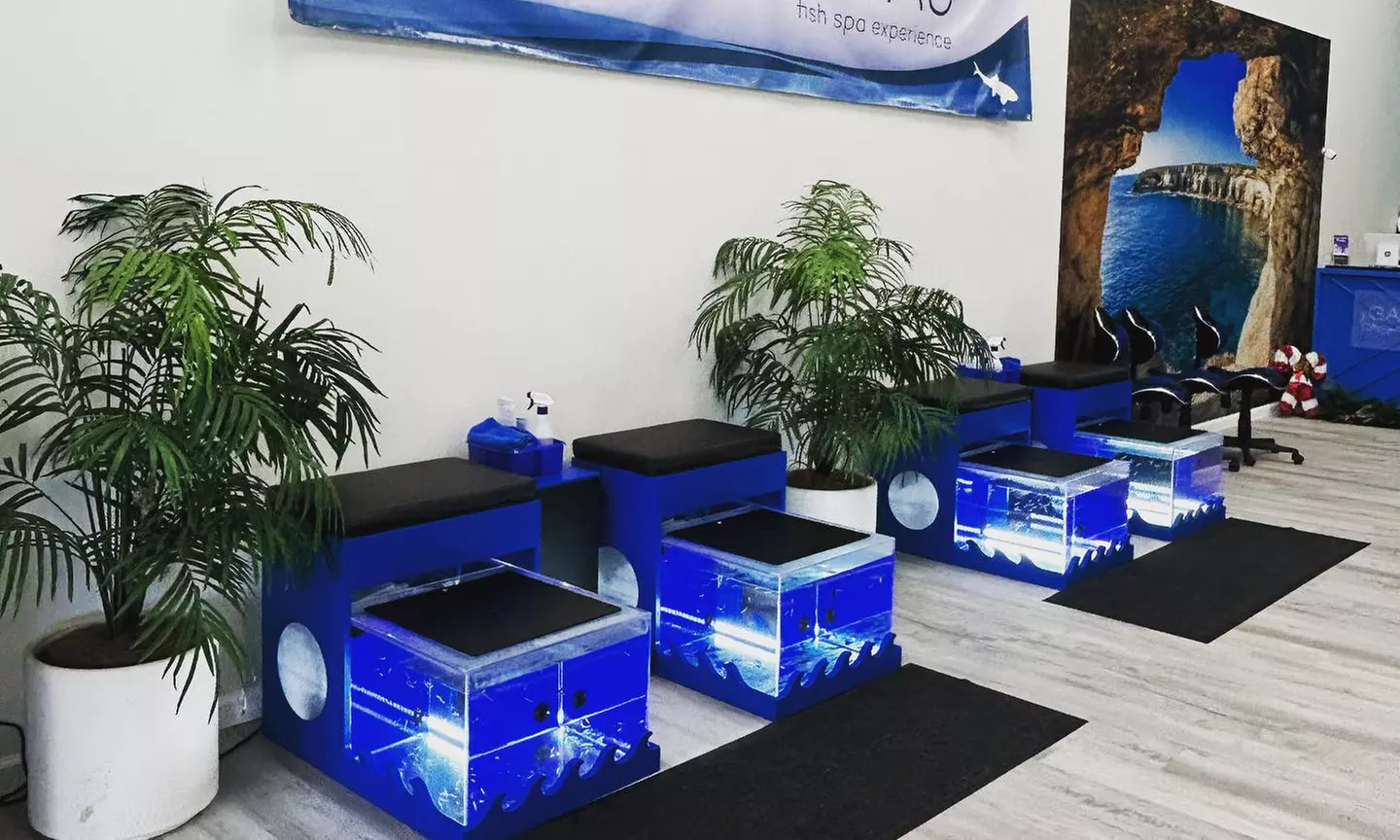 Relax with a 30-Minute or Monthly Unlimited Fish Spa Experience