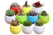 Lot de 7 mini pots à plantes - Second Medium