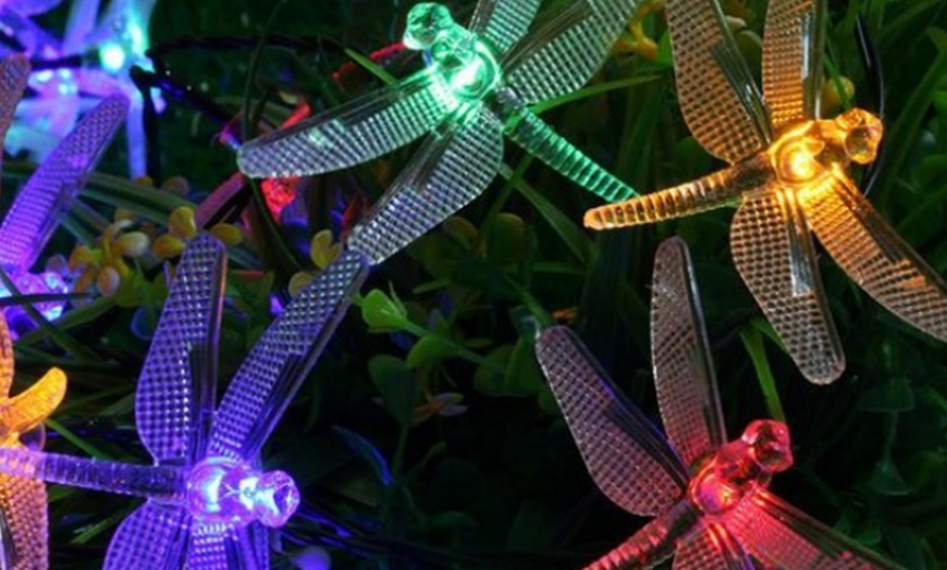 Image 9: Solar-Powered String Lights