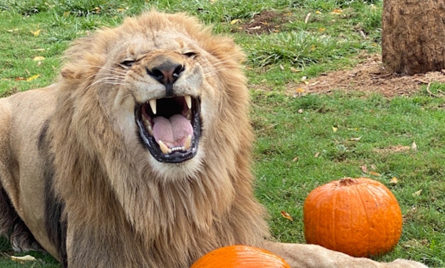 Image 5: GetOut Oregon with Admission to 36+ Iconic Attractions