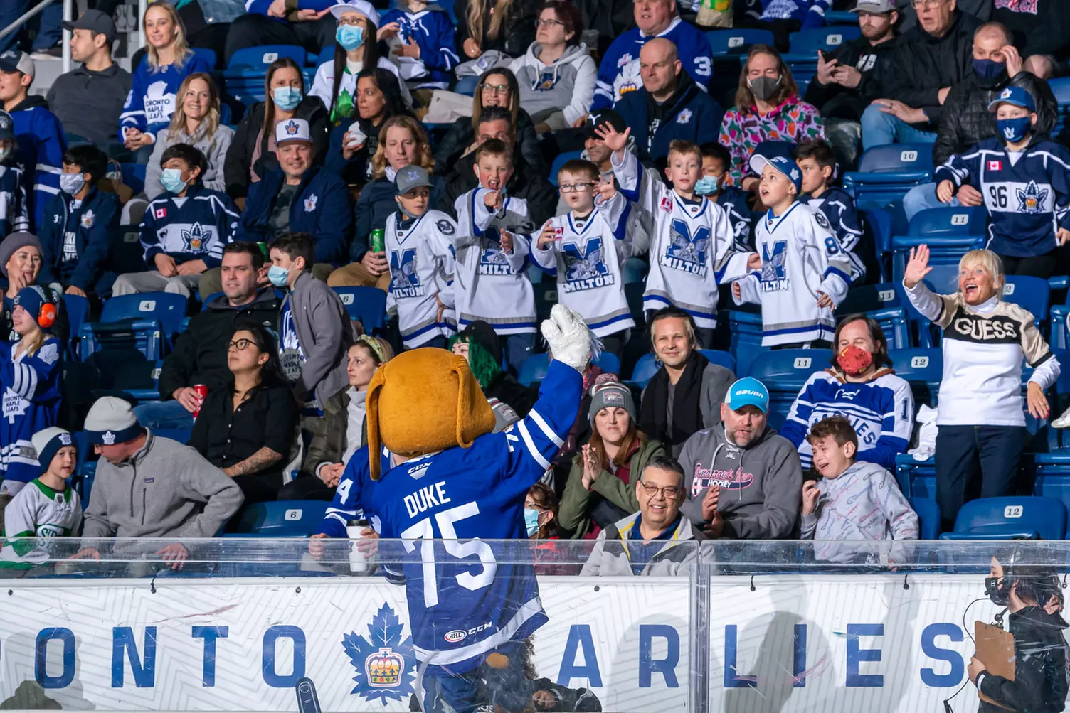 Toronto Marlies (November 19 - December 31) - Primary Image