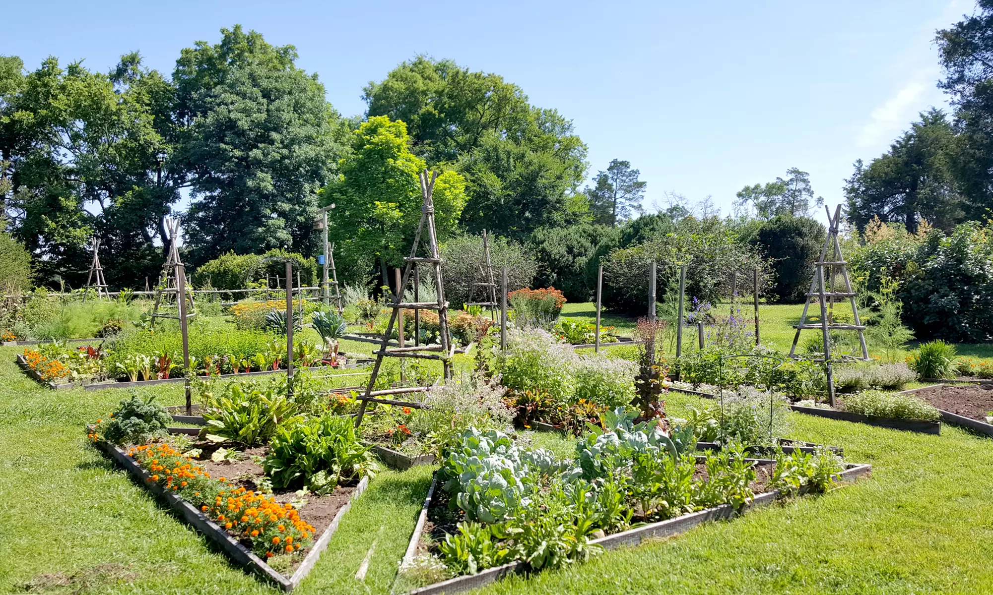 Guided Grounds and House Tour for Two, Four, or Six at Tuckahoe Plantation (Up to 34% Off) - Second Medium