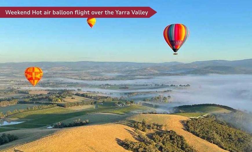 Image 1: Soar Over Yarra Valley with Go Wild Ballooning: 35 Years of Excellence