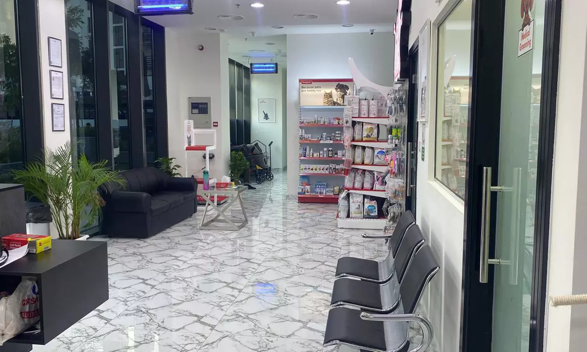 Full Grooming with Haircut at Cute Cat Veterinary clinic