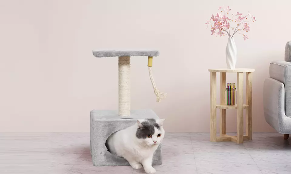 Tiragraffi in sisal naturale con base rinforzata in vari modelli e colori