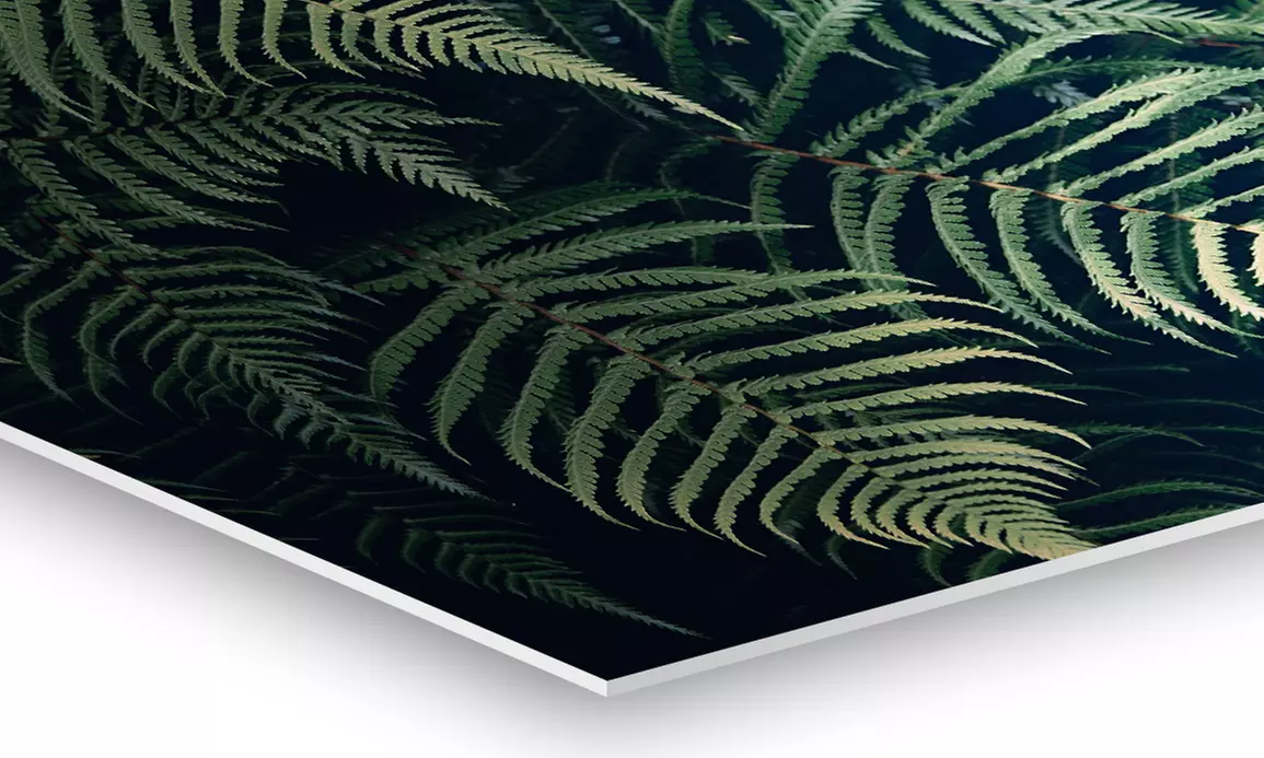 Personalisierbare Induktionskochfeld-Abdeckung in Größe nach Wahl