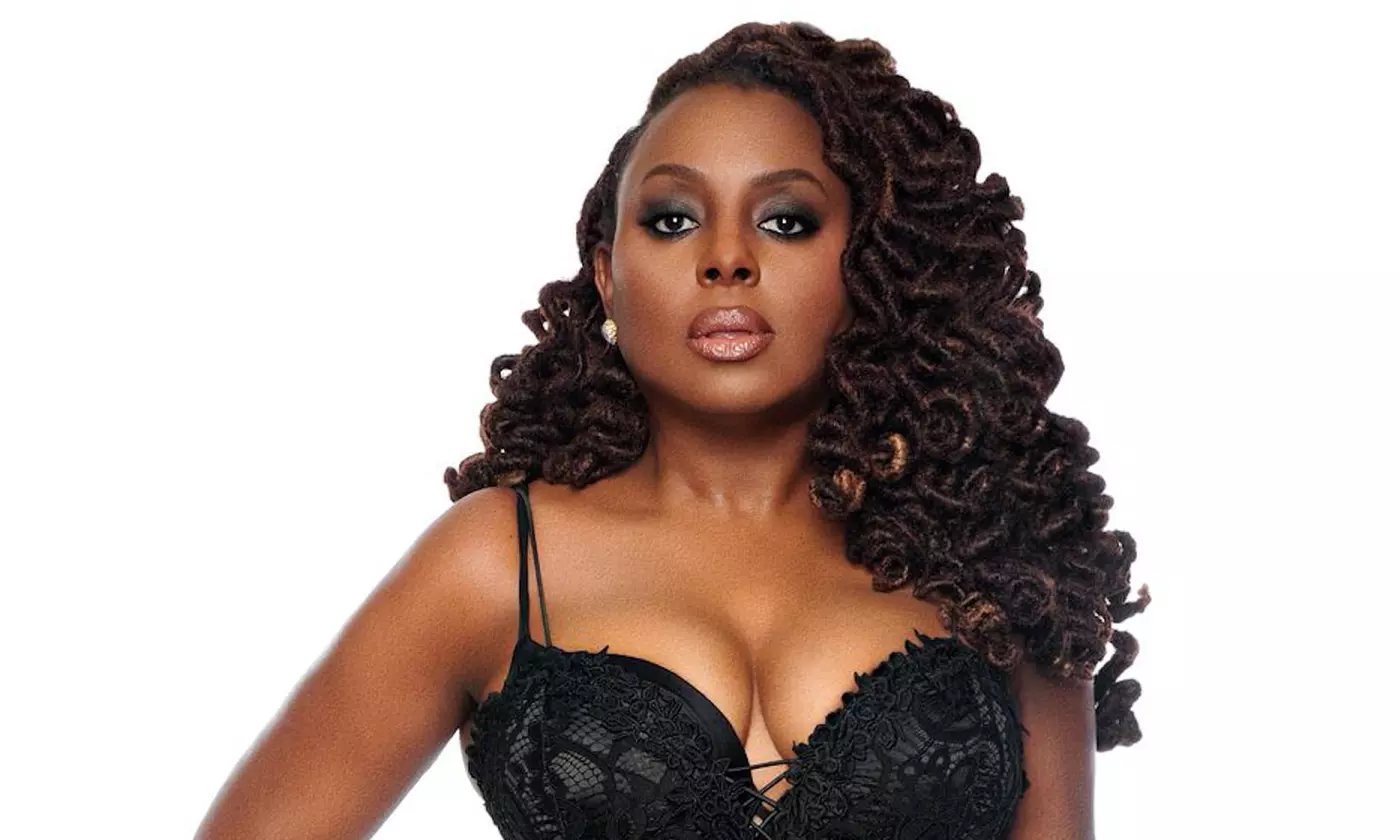 Maxwell "Summers' Tour '17" with Special Guests Common and Ledisi on June 22 at 8 p.m. - Second Medium