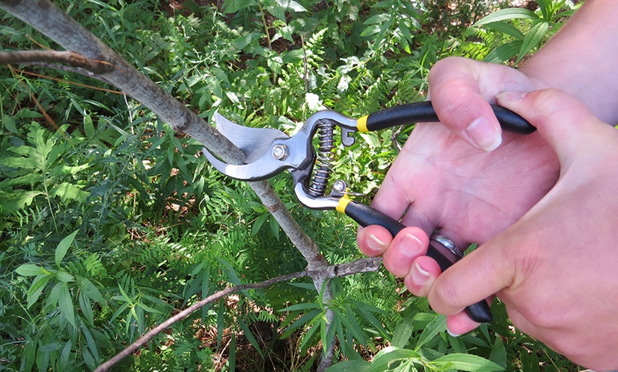 Evelots Bypass Pruner Groupon Goods