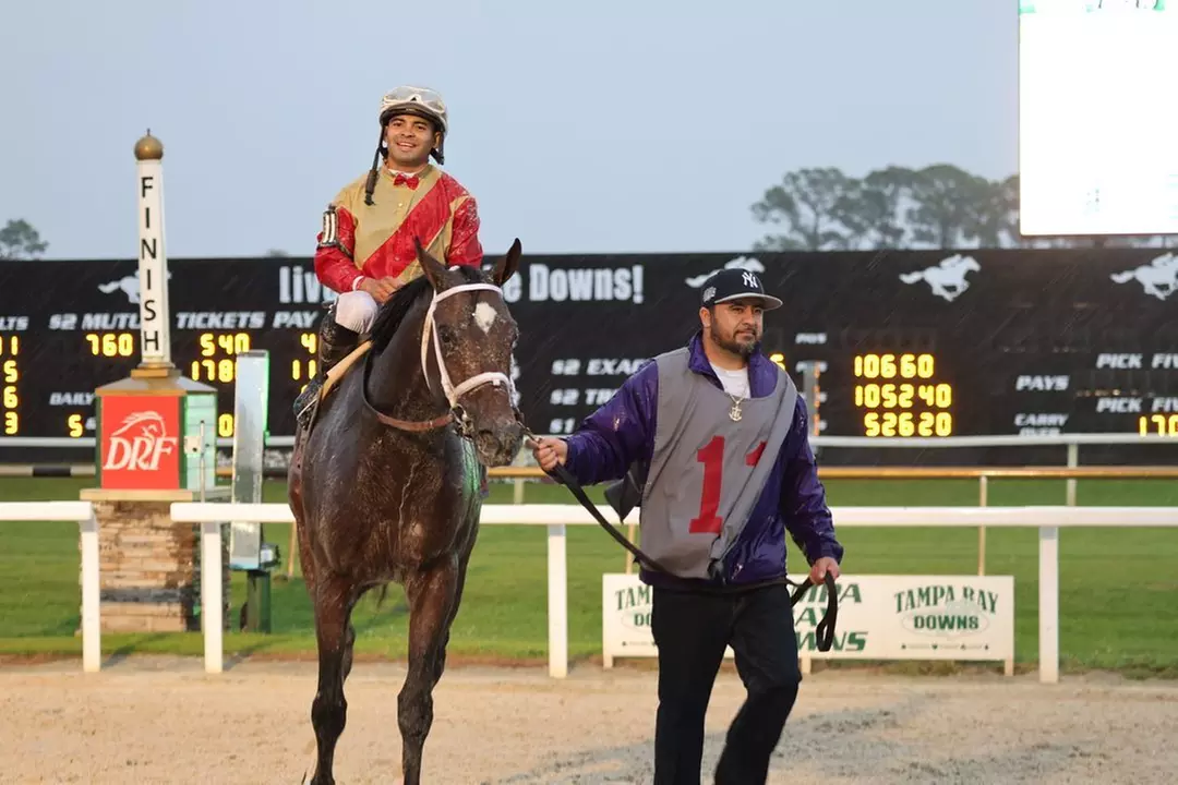 Tampa Bay Downs Horse Racing Deals: VIP Seating & Betting Vouchers