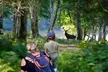 400 hectares de forêt, rencontre avec cerfs et daims en liberté au Parc Animalier (jusqu'à 21% de remise) - Image 5