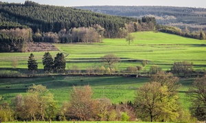 Ardennen: twee-of vierpersoonskamer met ontbijt