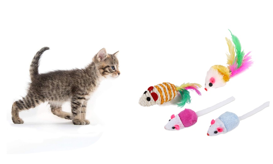 Image 4: 21-Piece Cat Toy Pet Set