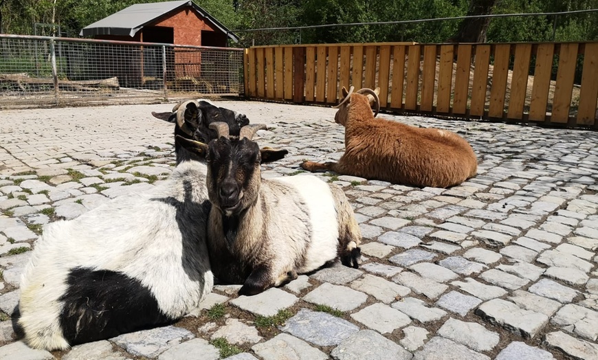 Image 9: Tageskarte Tierpark Leintalzoo