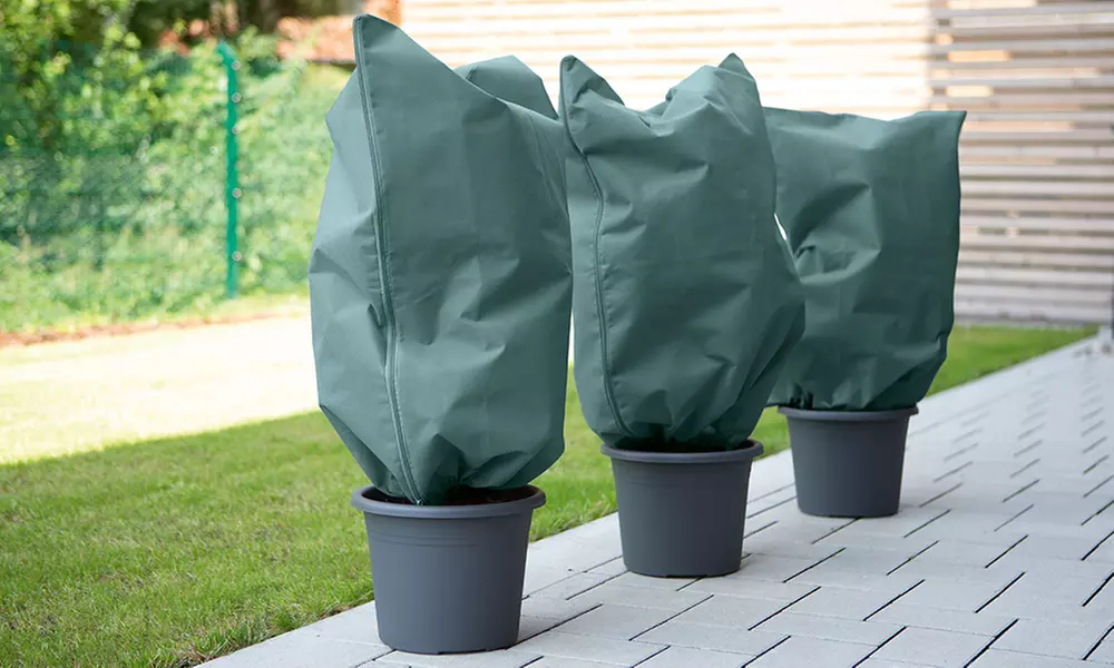 Couverture de plante Prima Garden - Primary Image