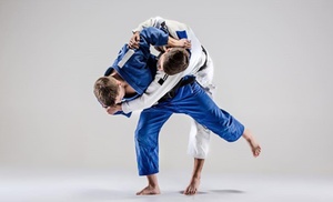 Judoles voor kids en volwassenen