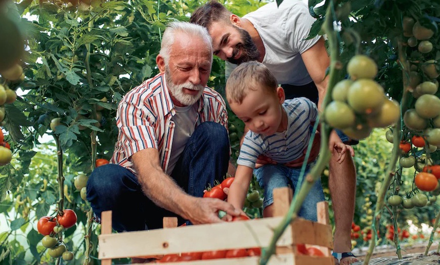 Image 1: Cours de jardinage bio