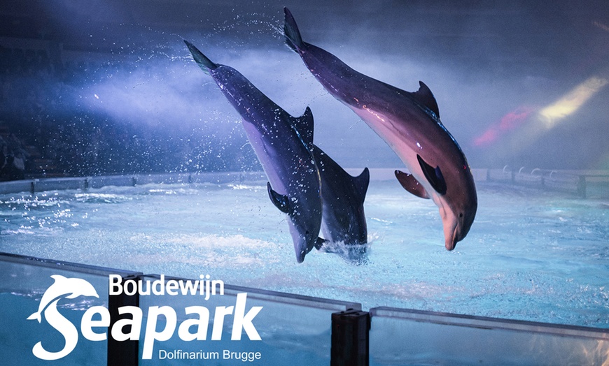 Image 4: Ticket pour le Boudewijn Seapark