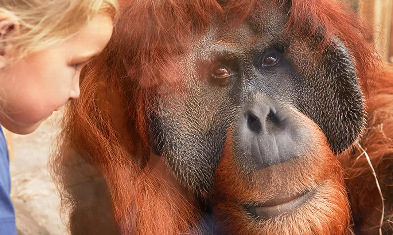 Tagesticket: ZOOM Erlebniswelt