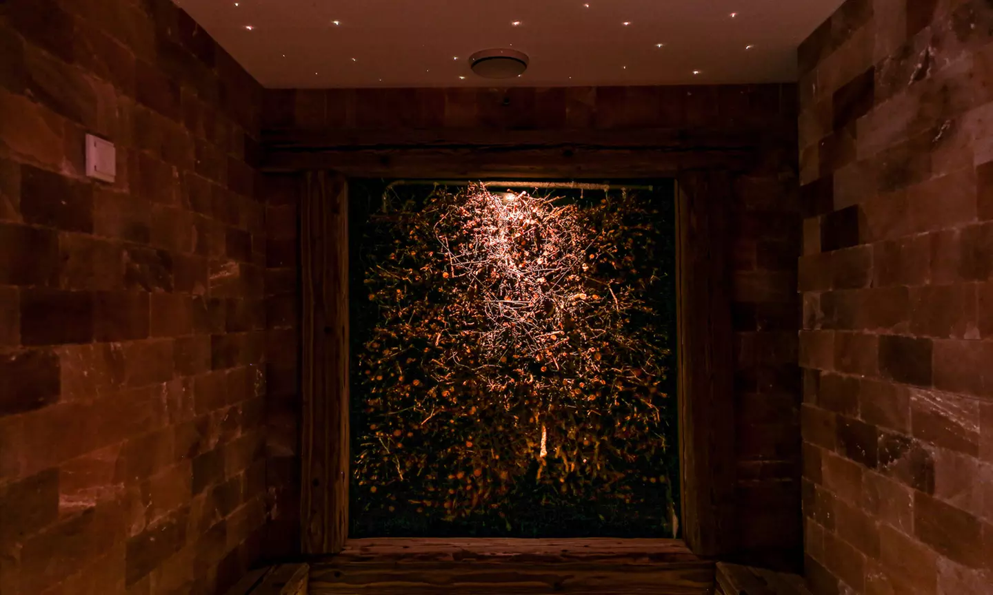 Salzgrotte, Vitus Core Cooling od. Wellness Paket für 1 od. 2 Personen