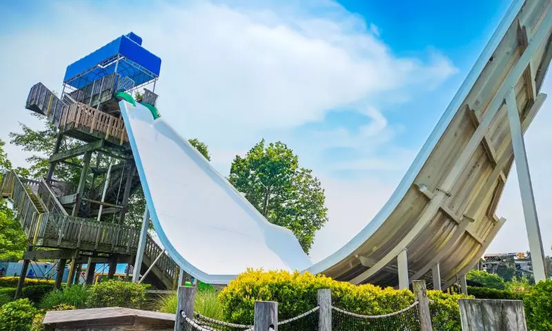 Single Day Admission Tickets for Wet'n Wild Emerald Pointe Water Park