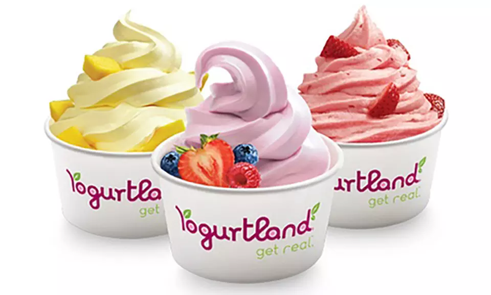 Frozen Yogurt at Yogurtland (40% Off) - Primary Image
