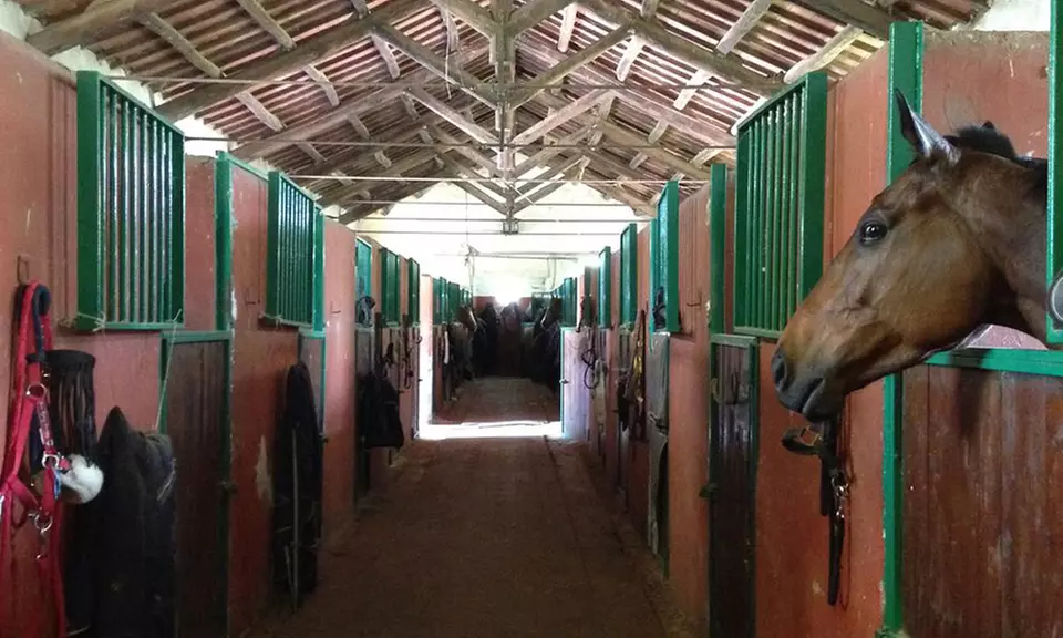 4 lezioni equitazione