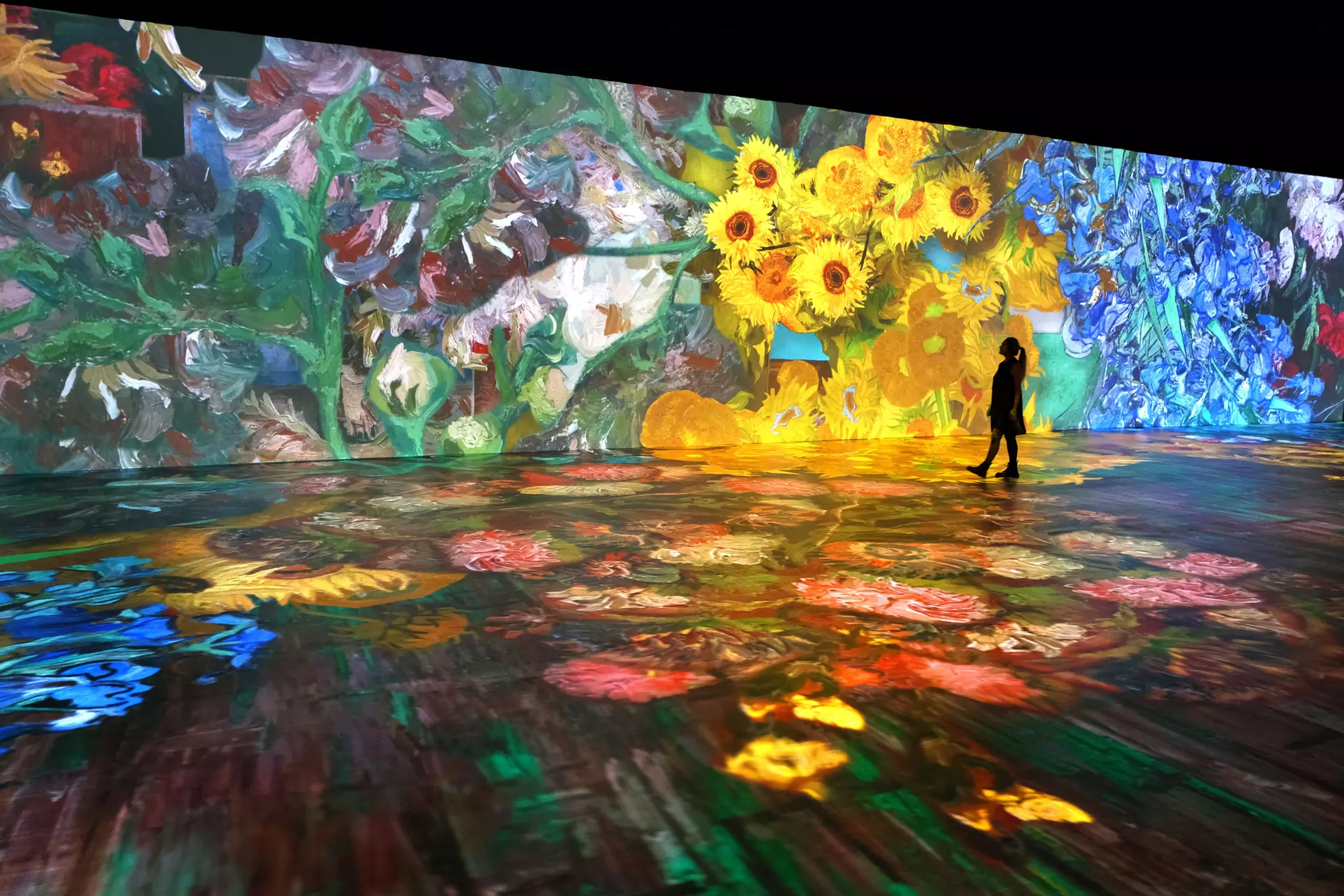 Beyond Van Gogh (Through 9/30) - Second Medium