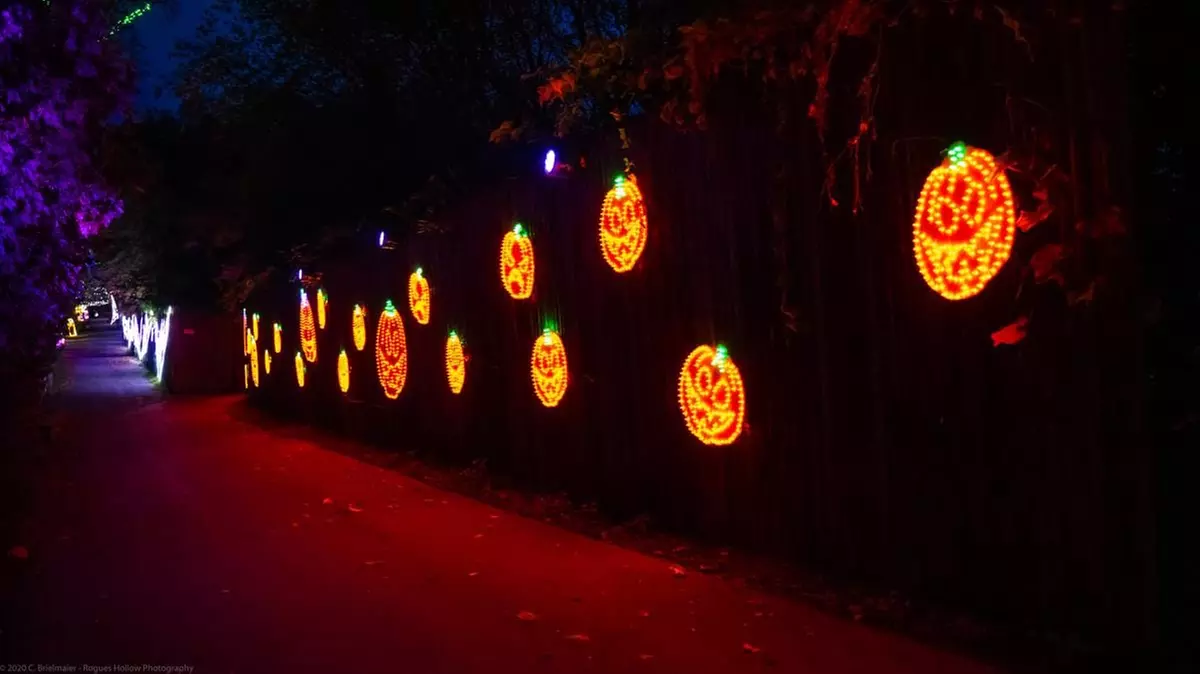 $24 for Halloween Light Show Entry for One Car at Demarest Farms, Through October 31 ($35 Value) - Second Medium
