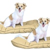 Image 15: 1 à 3 maxi matelas-coussins pour chien et chat