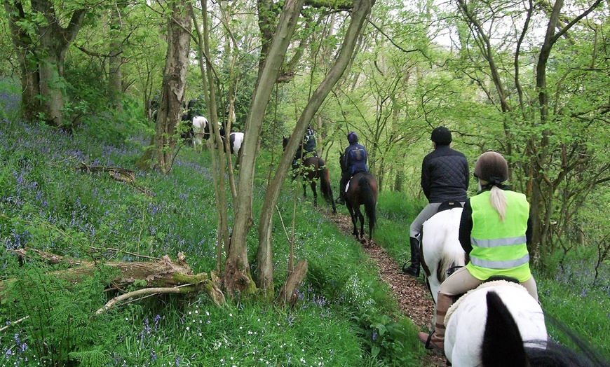 Image 5: Shropshire: 2- or 3-Night Log Cabin Stay