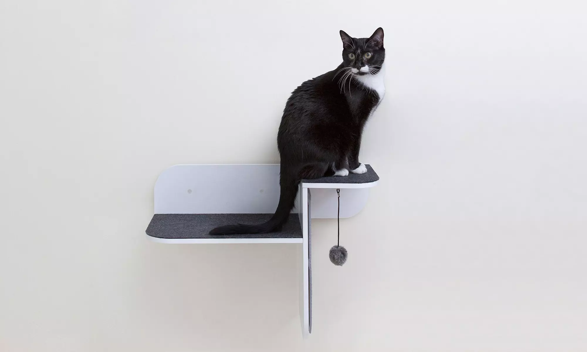 Primetime Petz Hauspanther Wall-Mounted Cat Perch - Primary Image