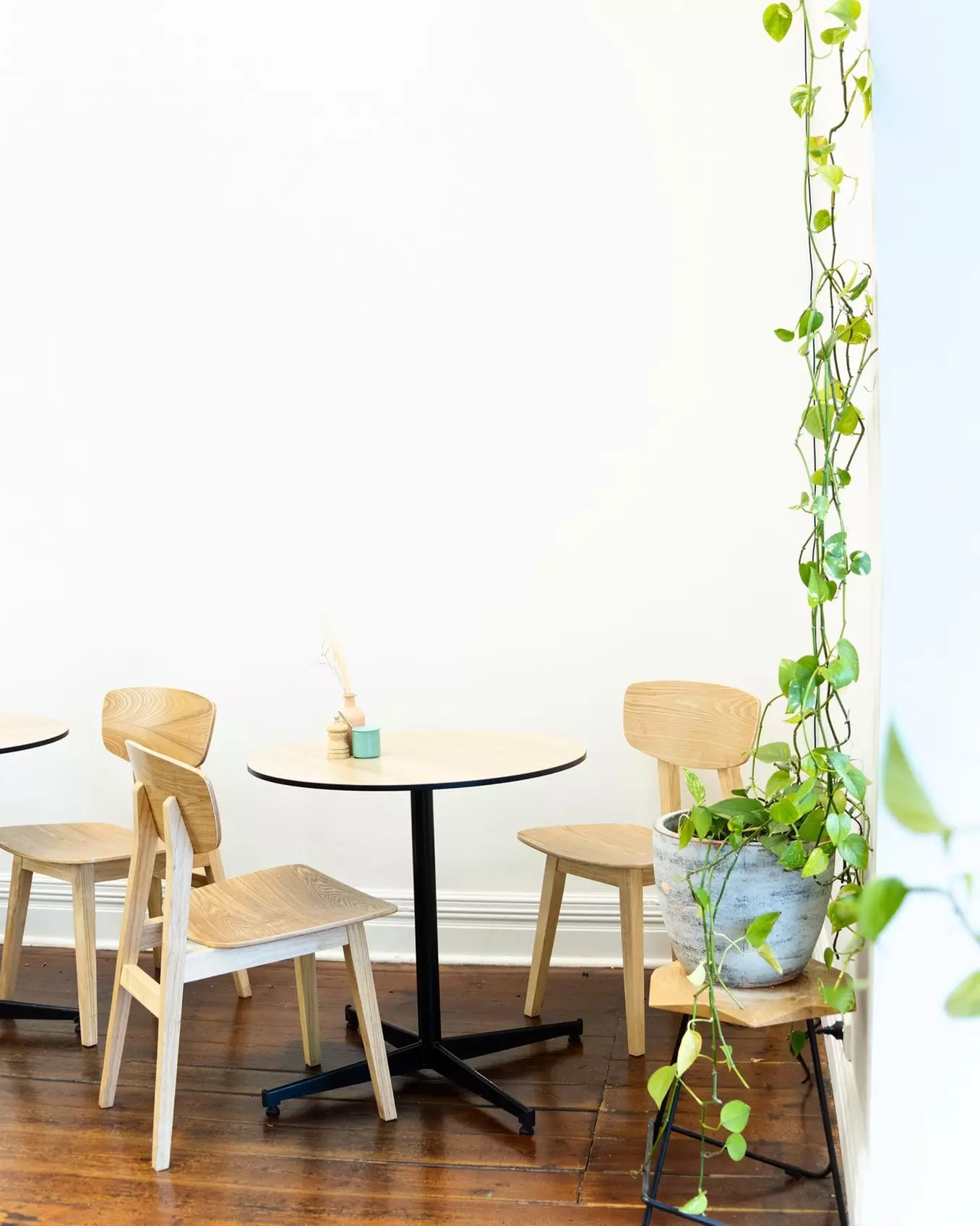 Any Choice from Brunch or Lunch Menu with One Juice for One