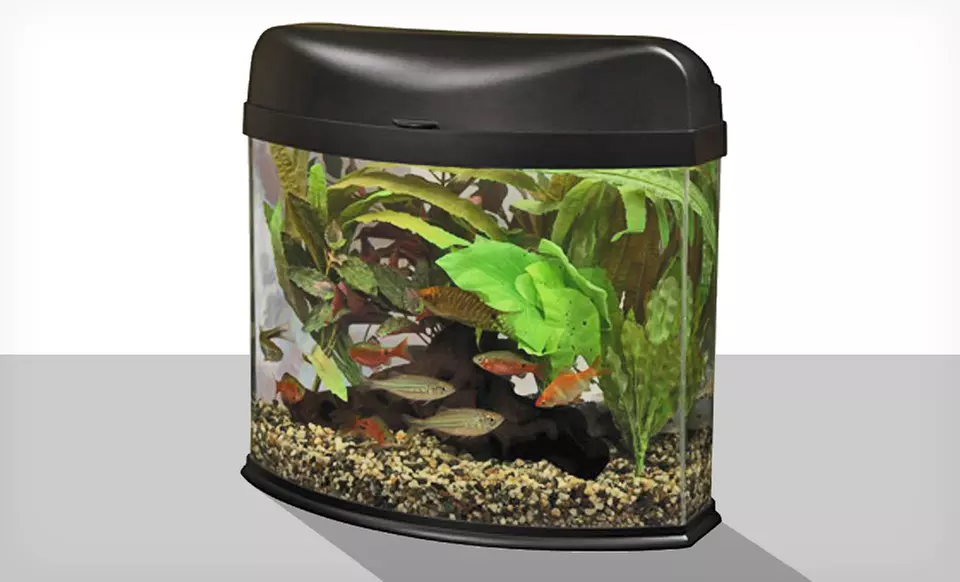 $34.99 for an Eclipse 5-Gallon Seamless Corner Aquarium Kit ($111.49 List Price). Free Shipping and Returns. - Primary Image