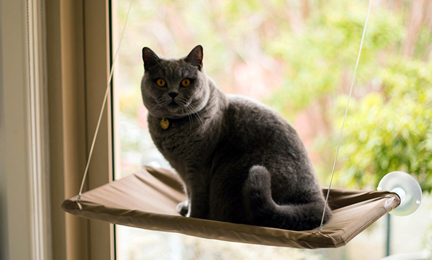 Image 4: Hamac de fenêtre pour chats