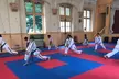 Three or Six Karate and MMA Classes for Children and Adults at WCKD Institute - Second Medium