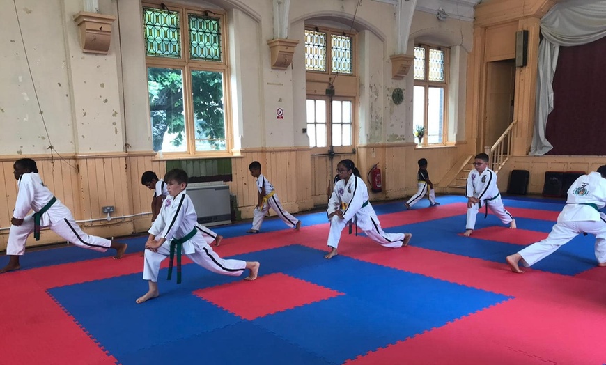 Image 2: Three Karate and MMA Classes