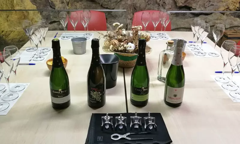 Visita guiada a bodega con cata de 3 vinos para 2, 4 o 6 personas