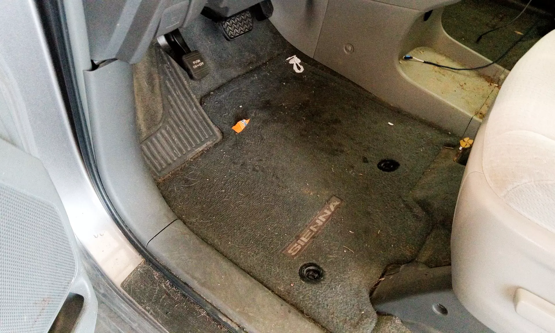 Exterior & Interior Detailing or Ceramic Coatings 
